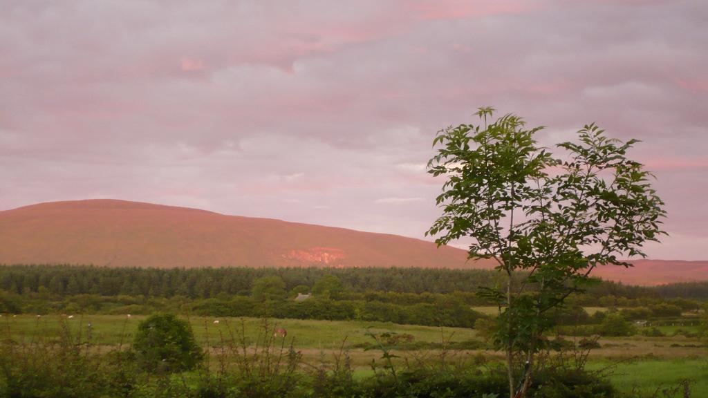 Maghernahar House B&B Ballycastle Exterior foto